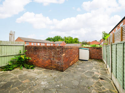 Picture 19